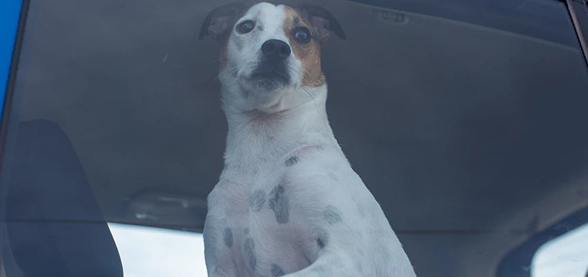 Car Lockout Solutions in Sanger, California